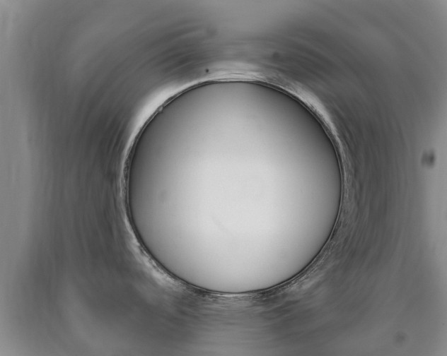 X0000090871488200707270944
