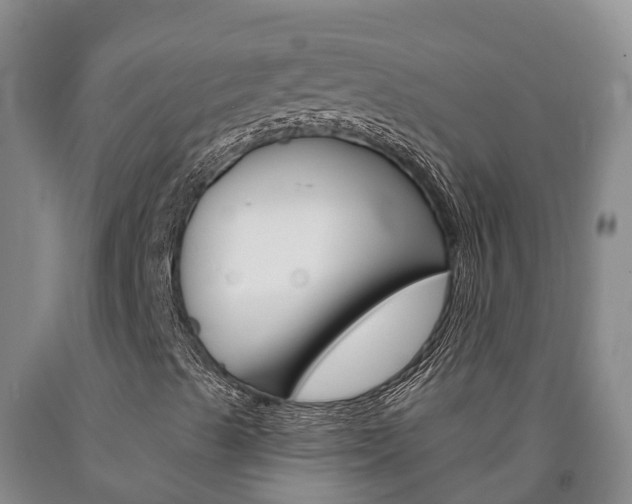 X0000090871489200707270943
