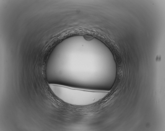 X0000090871490200707270943