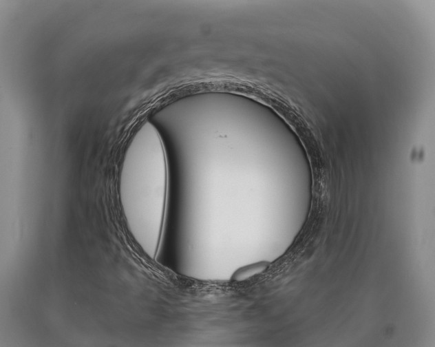 X0000090871493200707270943