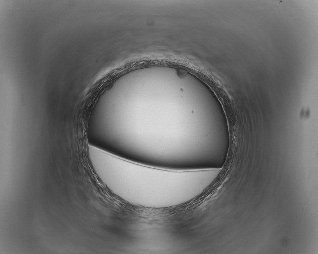 X0000090871494200707270943