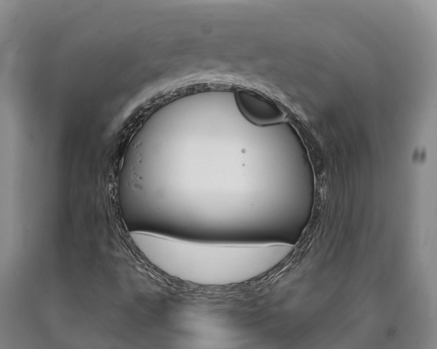 X0000090871495200707270943