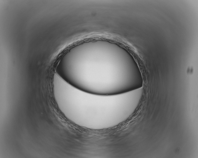 X0000090871496200707270943
