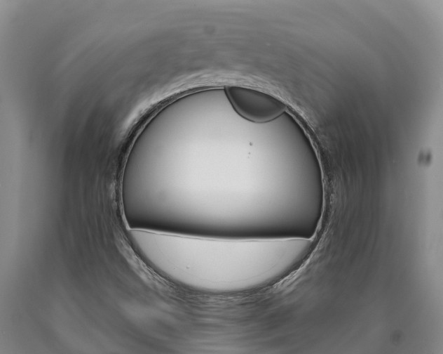 X0000090871499200707270943
