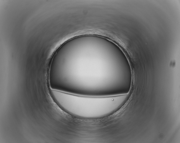 X0000090871500200707270943