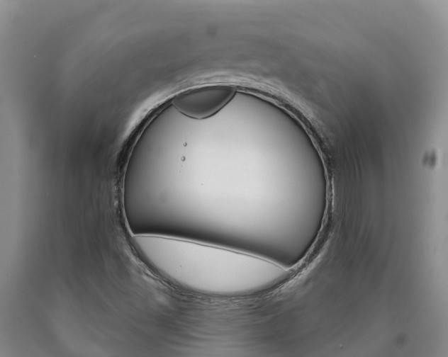 X0000090871501200707270943