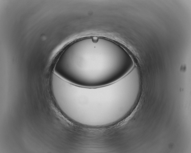 X0000090871502200707270943