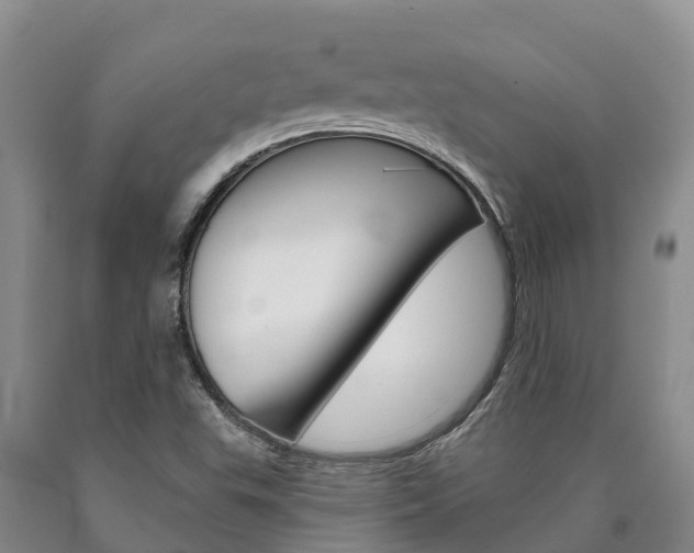 X0000090871503200707270943