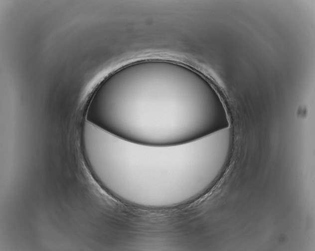 X0000090871504200707270943