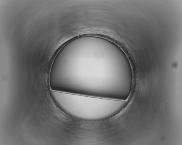 X0000090871505200707270943