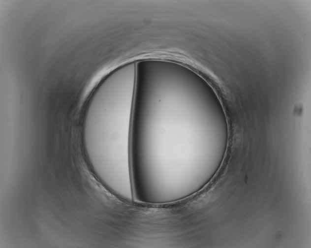 X0000090871506200707270943
