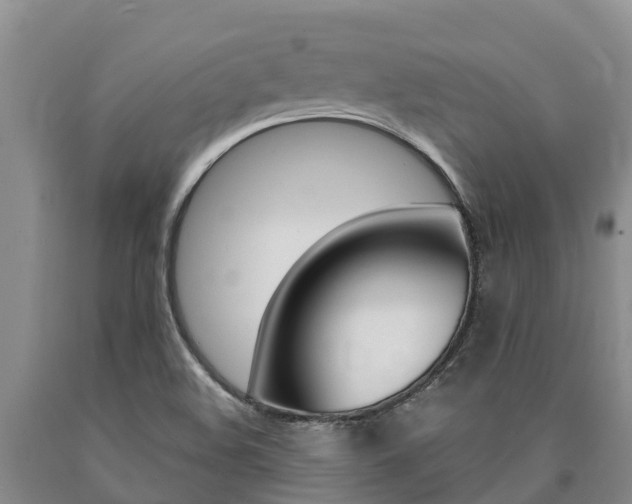 X0000090871508200707270943