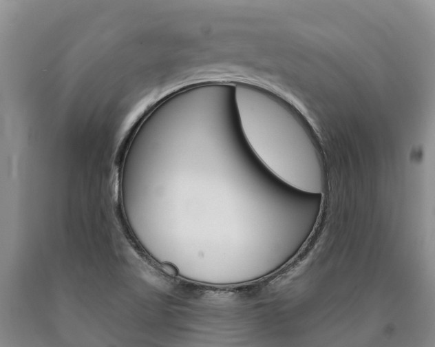 X0000090871509200707270943