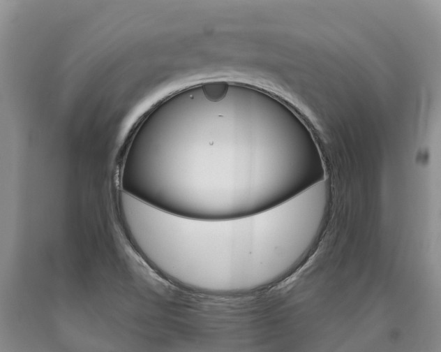 X0000090871510200707270943