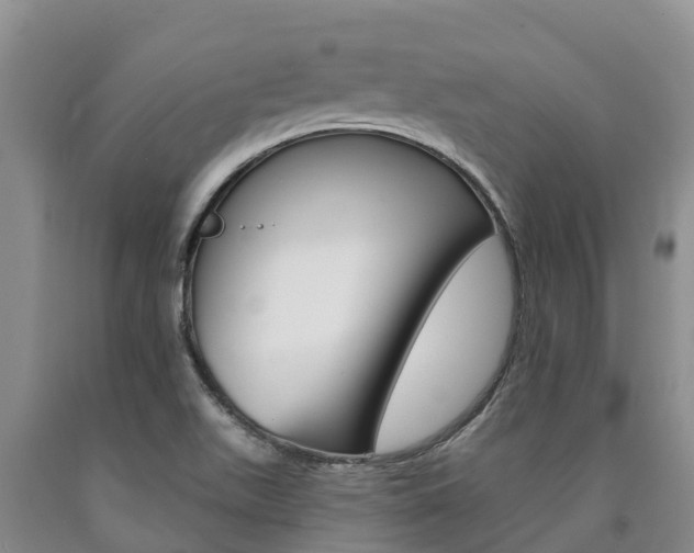 X0000090871511200707270943