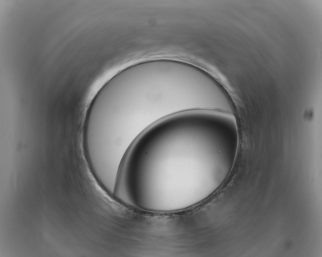 X0000090871512200707270943