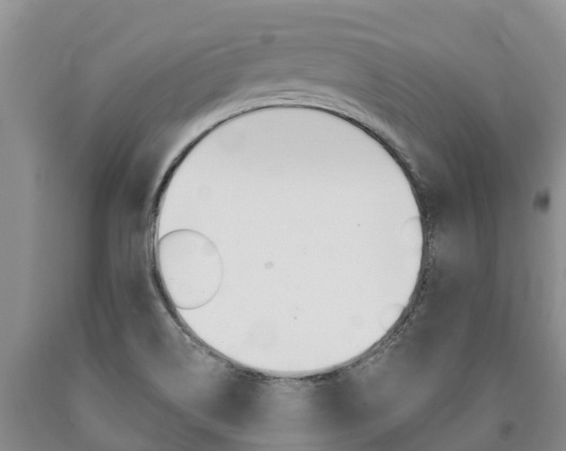 X0000090871514200707270943
