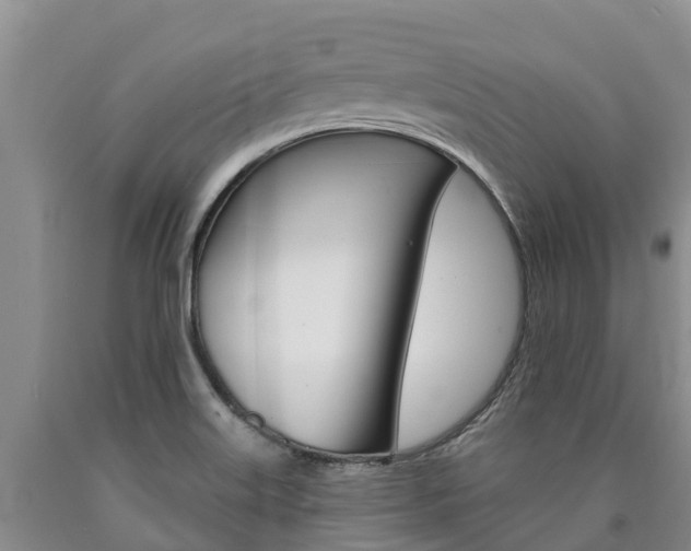 X0000090871515200707270943