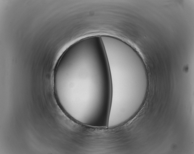 X0000090871516200707270943