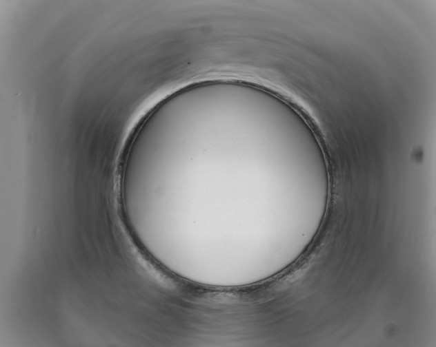X0000090871517200707270943