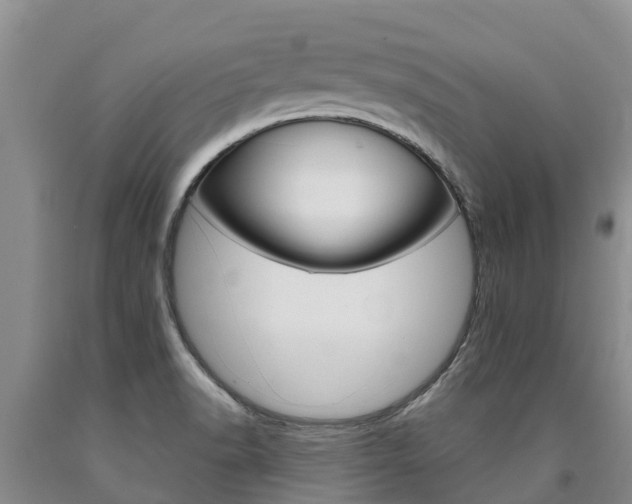 X0000090871518200707270943