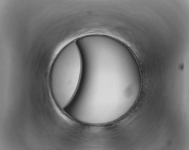 X0000090871519200707270943