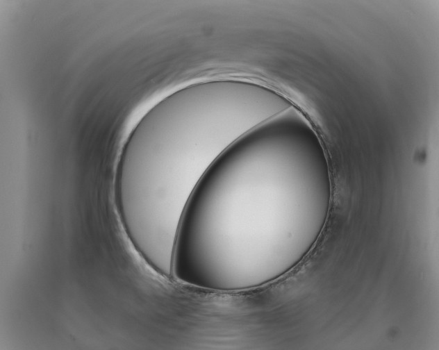 X0000090871520200707270943