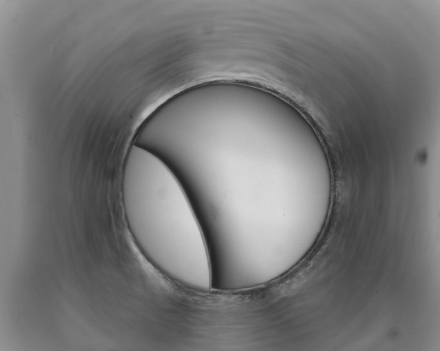 X0000090871521200707270943