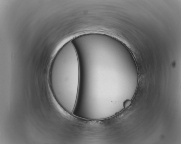 X0000090871523200707270943