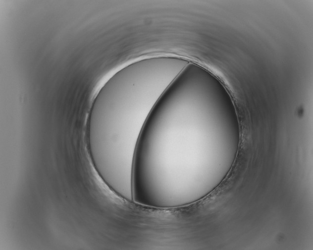 X0000090871524200707270944