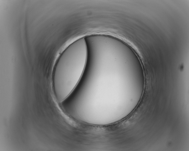 X0000090871525200707270944