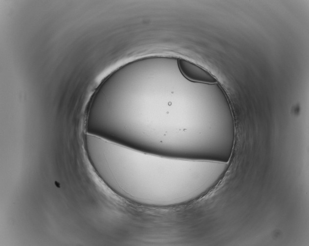 X0000090871526200707270944