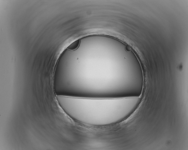 X0000090871529200707270944