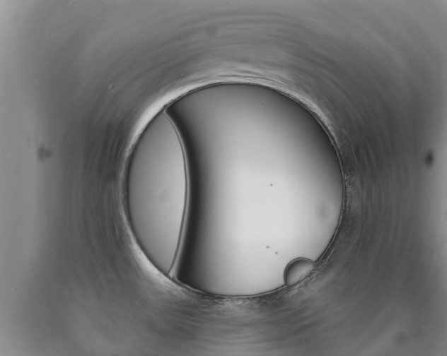 X0000090871531200707270944