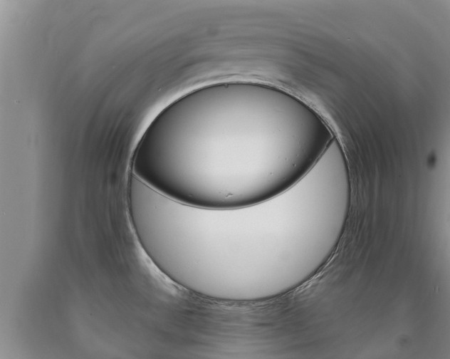 X0000090871532200707270944