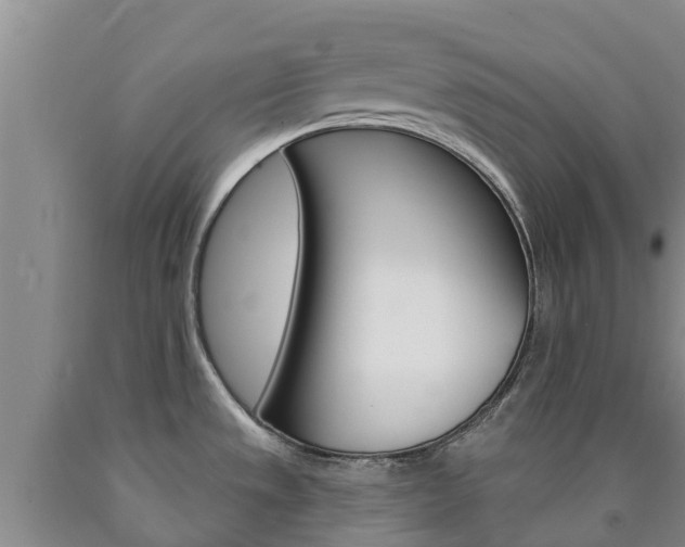 X0000090871533200707270944