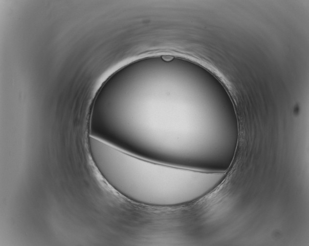 X0000090871534200707270944