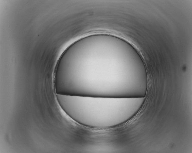 X0000090871535200707270944