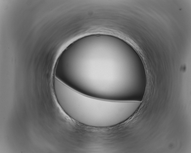 X0000090871536200707270944