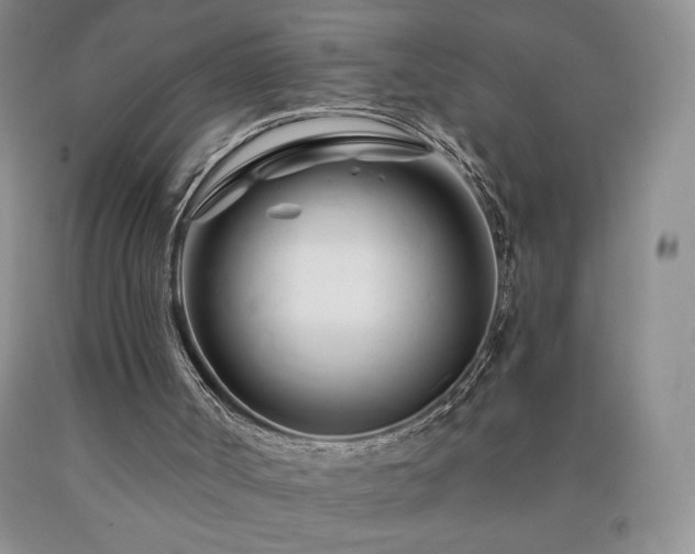 X0000090870002200707271300