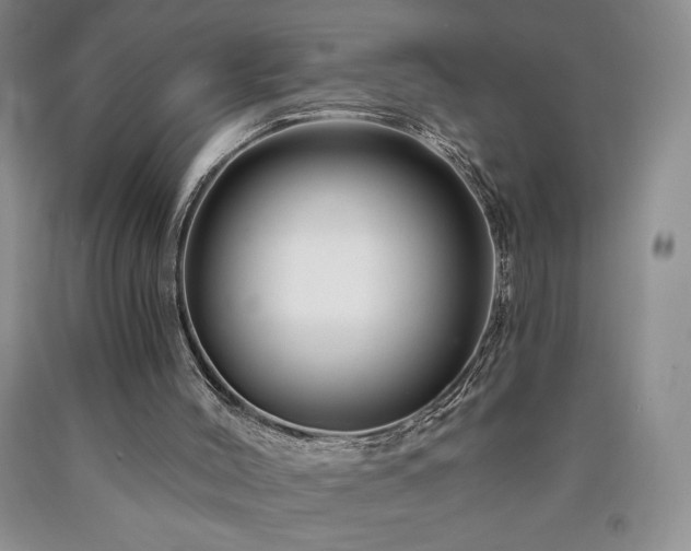 X0000090870004200707271300