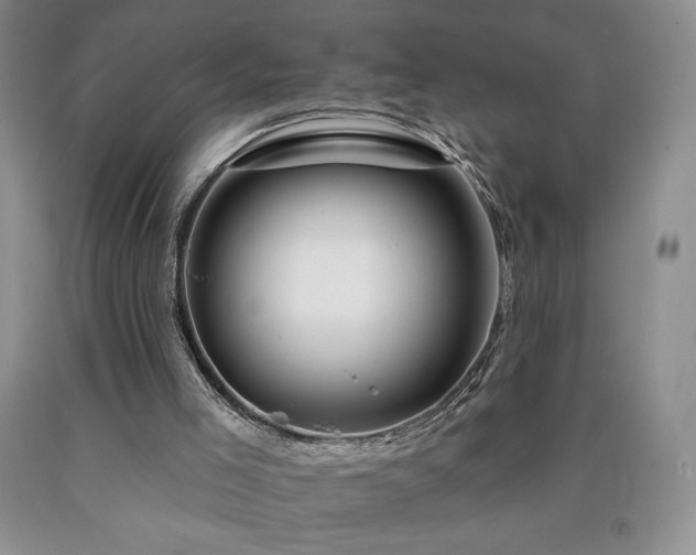 X0000090870005200707271300