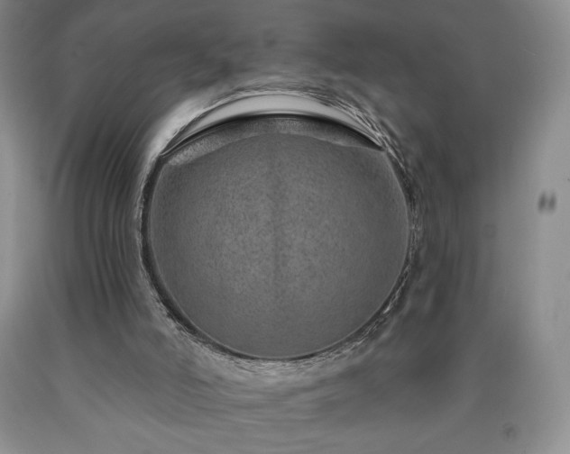 X0000090870006200707271300