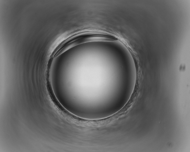 X0000090870007200707271300