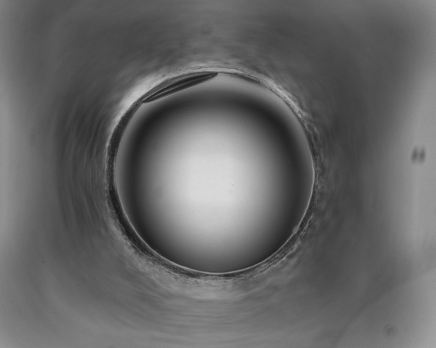 X0000090870008200707271300