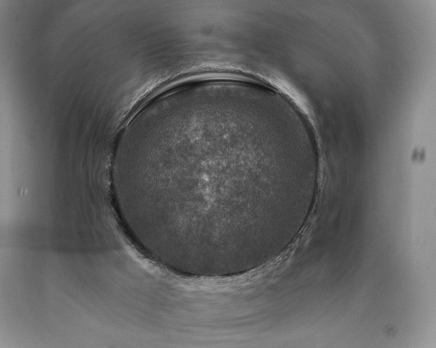 X0000090870009200707271300