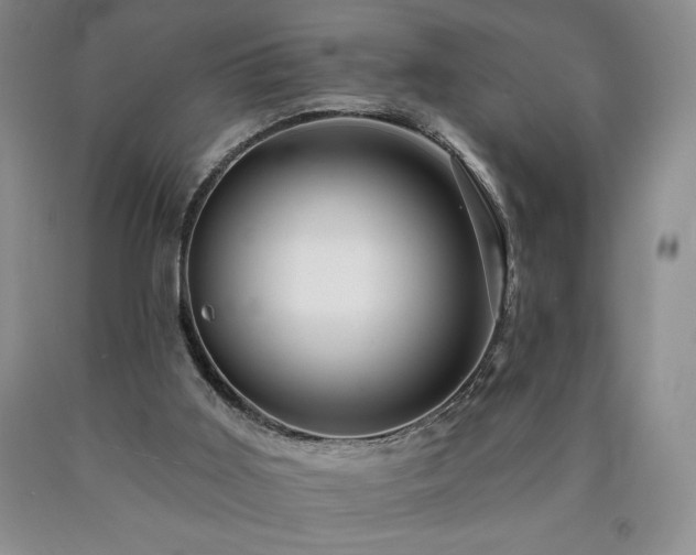 X0000090870011200707271300