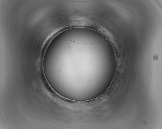 X0000090870012200707271300