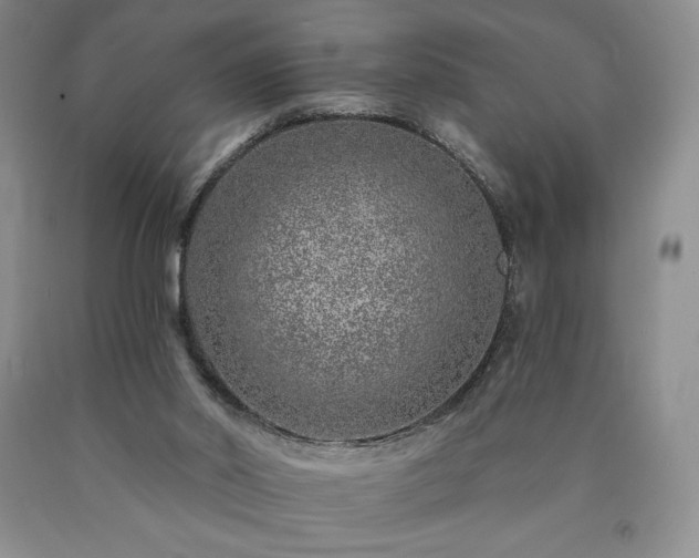 X0000090870014200707271300