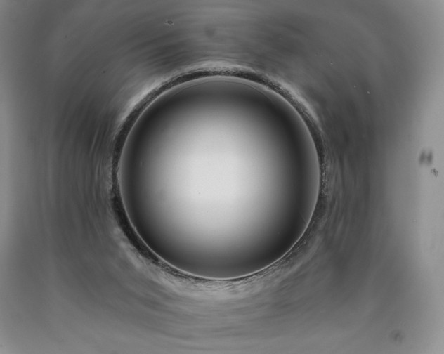 X0000090870015200707271300